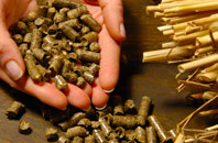 free Stonepits biomass boiler quotes